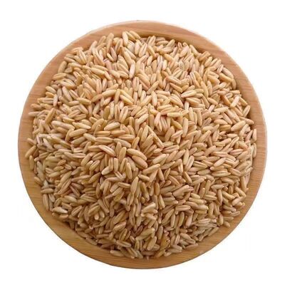 新货农家自产东北裸燕麦麦粒