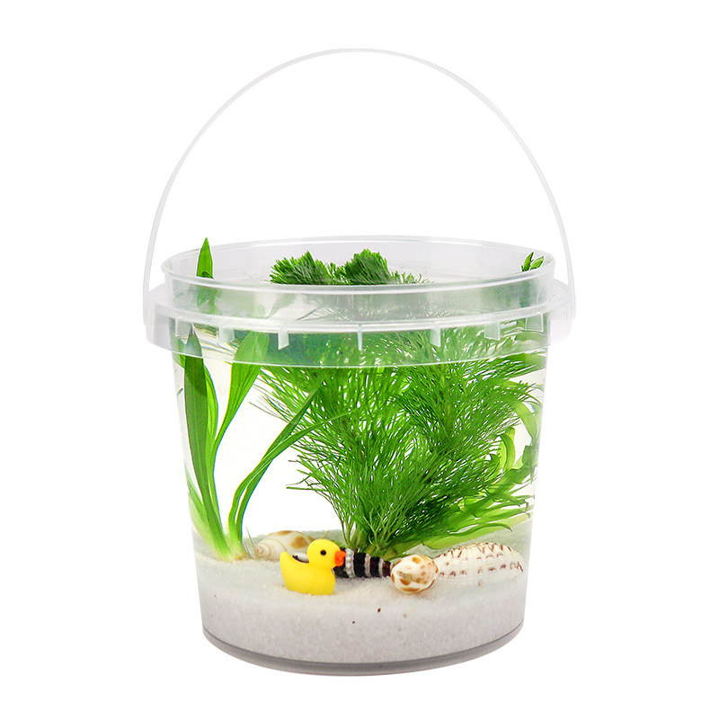 手提生态瓶观赏鱼微景观DIY鱼缸活体鱼淡冷水斗鱼虾真水草免打理