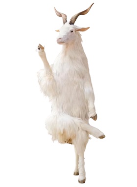 一比一仿真山羊拟人摆件