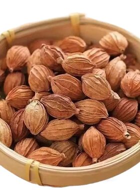 四川香砂仁香料沙仁500g 砂黄金砂仁优质特产炖肉卤菜调料大全