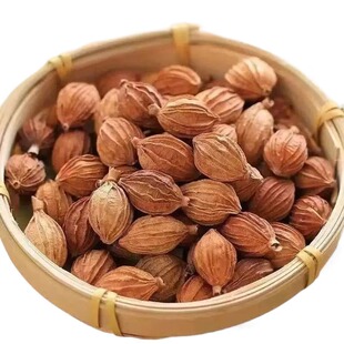 四川香砂仁香料500g 砂沙仁黄金砂仁优质特产炖肉卤菜调料大全
