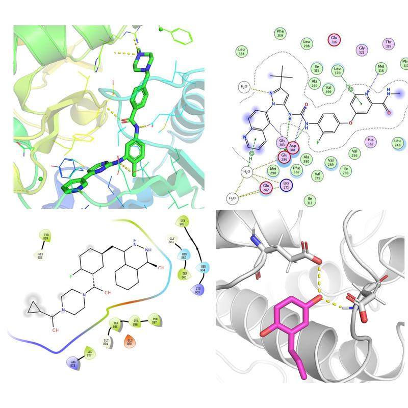 专业分子对接代做 相互作用模式分析 结合自由能计算虚拟筛选