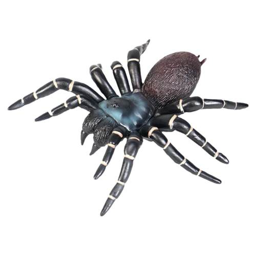 仿真动物昆虫甲虫模型蜜蜂蜘蛛蝎子蜈蚣蚂蚁玩具儿童教育认知礼物