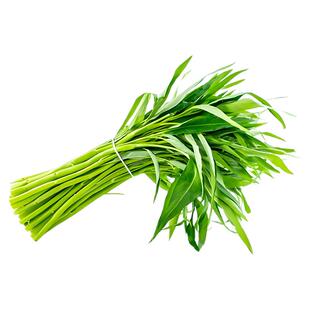 大叶空心菜种子白梗通心菜种籽阳台庭院盆栽四季高产易种蔬菜种孑