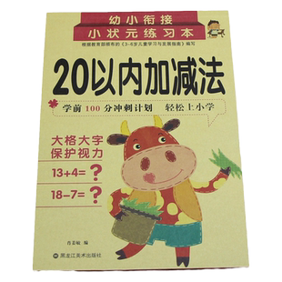 20以内加减法数的分解与组成 认识单双数相邻数 竖式横式 儿童数学题天天练 口算题卡幼儿园大班升一年级应用题学前班整合教材全套