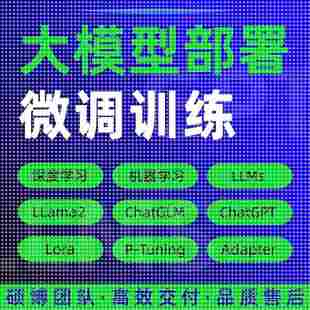 python代编程大模型微调训练Llama2环境配置代码 代跑深度学习指导