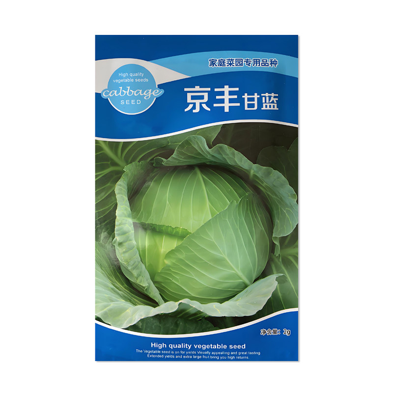 华耐京丰甘蓝种子蔬菜种子