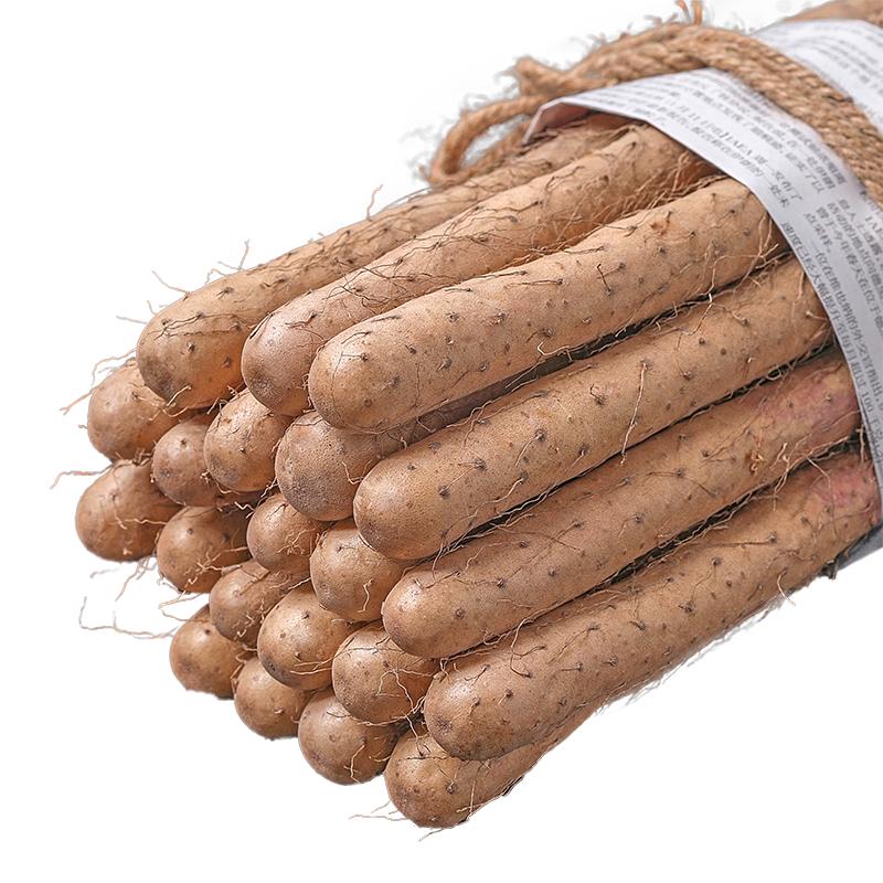 铁棍山药新鲜淮山药河南焦作温县正宗铁杆山药现挖山药5斤怀山药