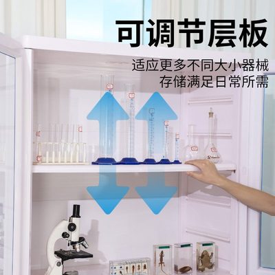 实验室仪器柜药品柜学校储物柜PP试剂柜双门柜器皿试剂柜加厚塑料