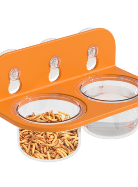 爬宠吸盘食盆水盆食碗防翻守宫蜥蜴乌龟睫角果泥盆喂食器悬浮食盒
