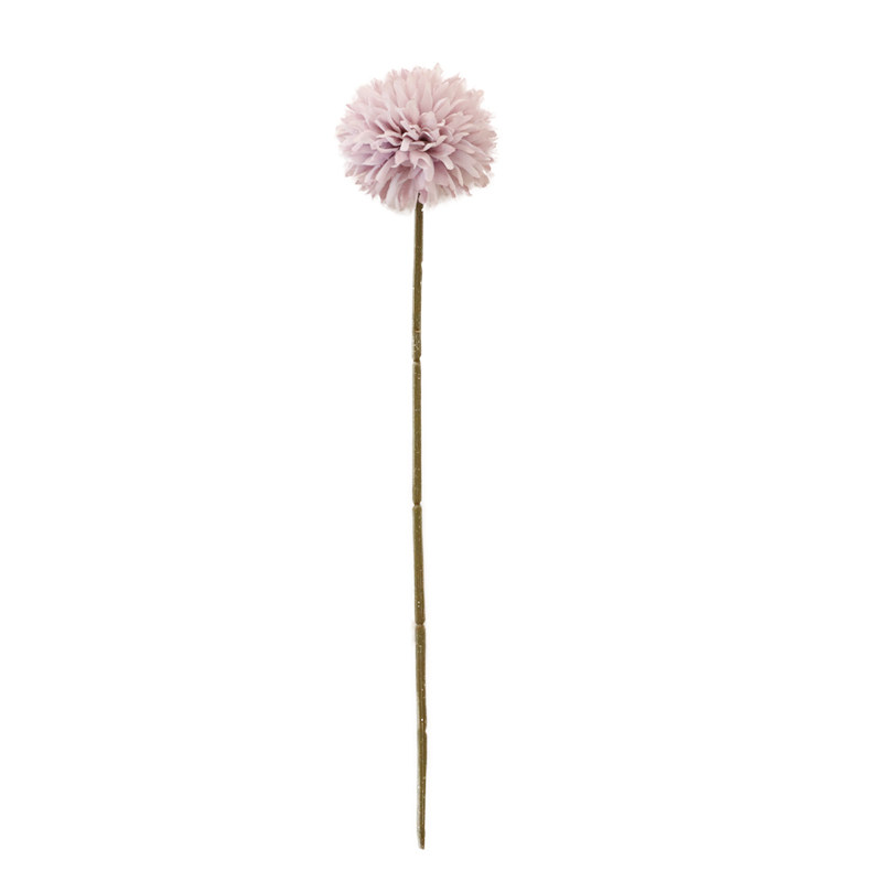 ins乒乓球菊仿真花蒲公英假花干花餐桌玄关茶几摆件装饰拍摄道具