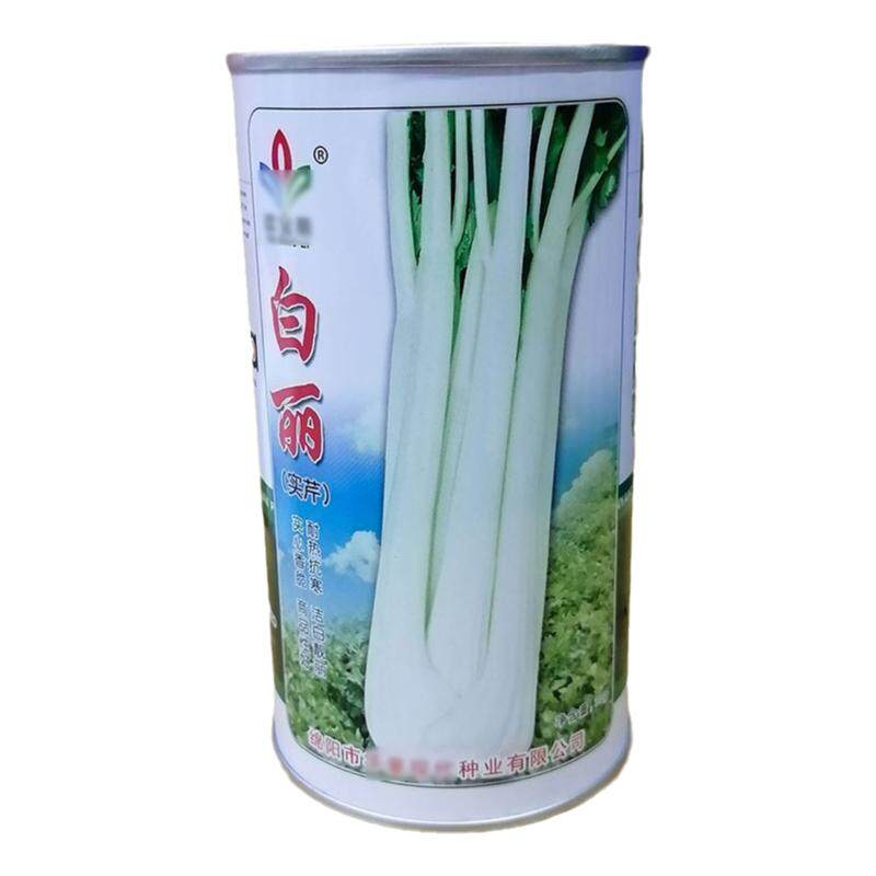 白丽实芹30g白芹空心芹菜别名胡芹四季蔬菜种子孑籽四季阳台盆栽