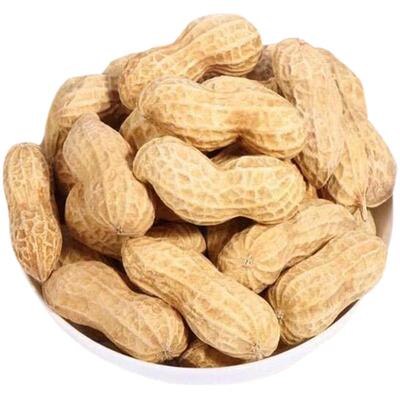 2025新货山东大粒带壳花生5斤新晒干农家新鲜 生长粒花生米可种植