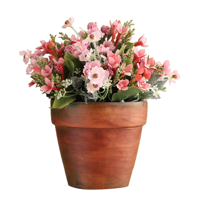 晶华桌面绿植盆栽小盆花