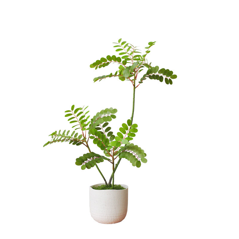 九思植物中式风格桌摆盆景