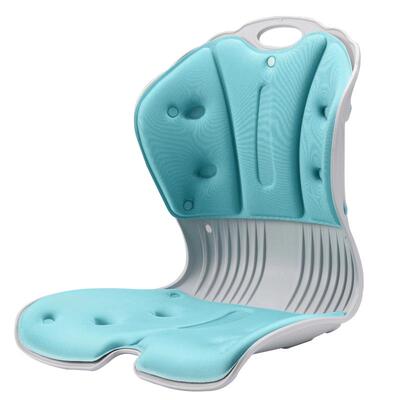 人体工学护腰姿挺美靠垫