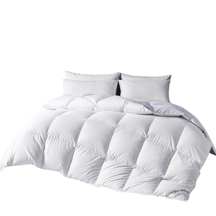 京希尔顿匈牙利95白鹅绒被子100%羽绒保暖冬被五星级酒店春秋被芯
