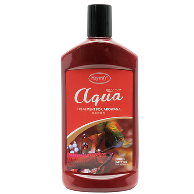 龙鱼专用蒙眼趴缸厌食烂身立鳞