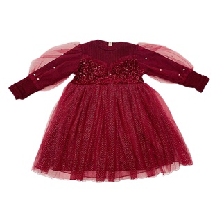 女童连衣裙秋冬季儿童高级感生日礼服洋气女孩加绒红色毛衣蓬蓬裙