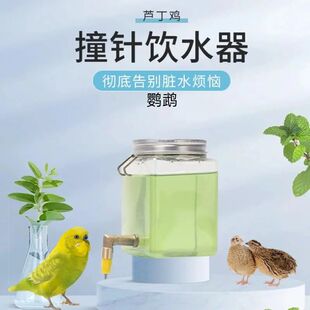 芦丁鸡鹦鹉撞针饮水器水壶鸟用饮水器撞针水嘴自动喝水大容量防漏