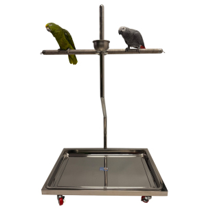 中大型鹦鹉不锈钢站架金刚灰鹦鹉和尚双站架亚马逊脚链鸟磨爪站棒