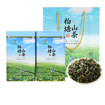 2025柏塘山茶四月春茶广东十大名茶博罗客家特产绿茶罗浮山茶叶
