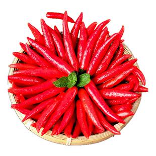 小米椒红辣椒新鲜蔬菜现摘特辣小米辣椒朝天椒农家土蔬菜鲜包邮