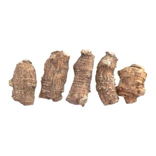 正宗花旗参整枝六年生圆粒头非加拿进品级西洋参段500克可切片