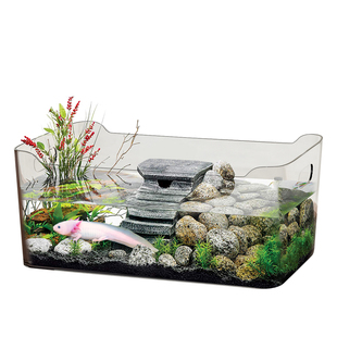 六角恐龙鱼缸造景美西螈专用缸躲避屋家用桌面蝾螈乌龟饲养缸饲料