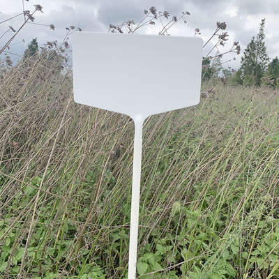 特高加厚园艺标签插地杆植物标记牌玉米水稻试验插地牌大田插地牌