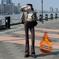 Коричневый (плюс бархатный) девять баллов