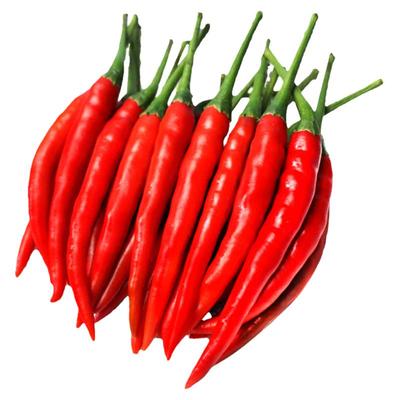 美人椒现摘新鲜美人椒