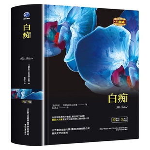 白痴正版陀思妥耶夫斯基原著全译本完整无删减罪与罚群魔地下室手记卡拉马佐夫兄弟被欺凌与被侮辱的人罪与罚世界文学名著小说书籍