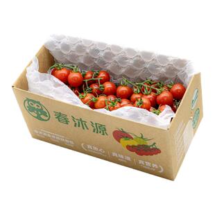 【蜜蜂零食节】春沐源串收樱桃小番茄生吃即食圣女果水果零食1kg