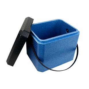 保温箱EPP泡沫箱手提式冷藏箱生鲜蔬果电商配送箱保鲜宅配箱 21升