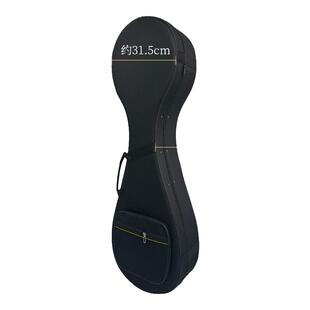 乐海成人款琵琶专用琴盒防震轻体盒手提可背琵琶保护盒