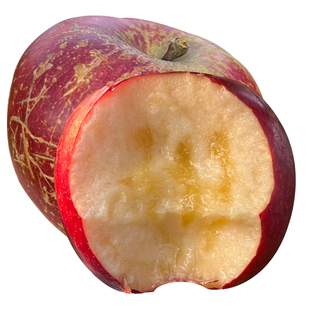 云南昭通正宗冰糖心丑苹果2025当季现摘整箱新鲜水果邵通基地直销