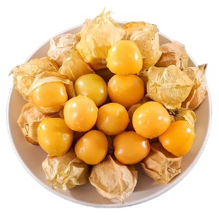 精品东北姑娘果5斤灯笼果新鲜水果大果黄菇娘果整箱现摘包邮正宗