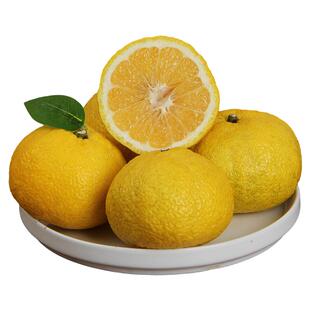 顺丰包邮象山青应季新鲜水果日本春香橘柚清甜爽口黄金贡柚产地发