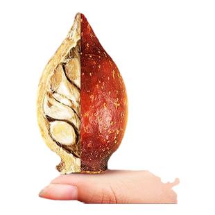 金樱子的功效与作用泡水喝中药材非野生金英子果金缨子官方旗舰店