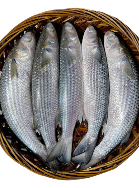 潮汕特产汕头打冷鱼饭即食乌鱼