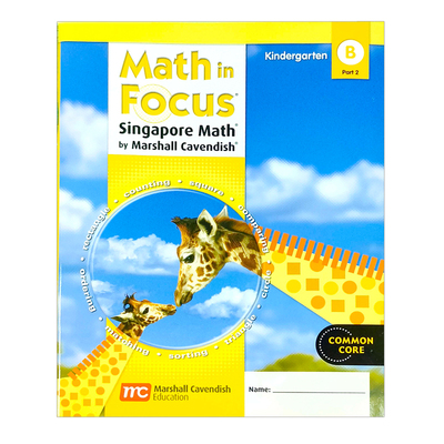 霍顿米夫林小学数学进口原版