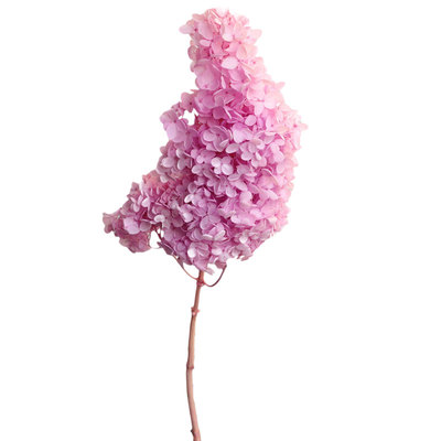 婚礼鞋盒永生花木绣球等花来