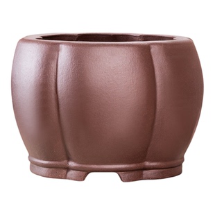 紫泥本色手工大口径南瓜型花盆竹子梅花金弹子兰花慧兰君子兰绿植