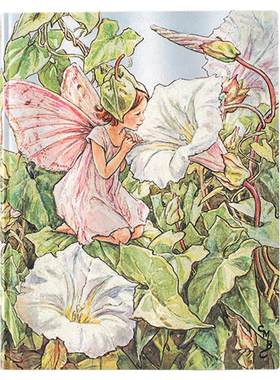 paperblanks旋花仙子笔记本子
