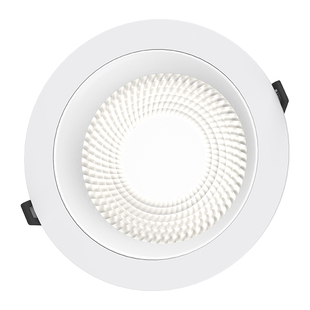 筒灯大功率嵌入式led开孔12公分24w中山灯具40瓦20cm超亮店铺商用