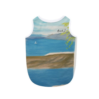 DGDG艺术家联名系列凉凉背心