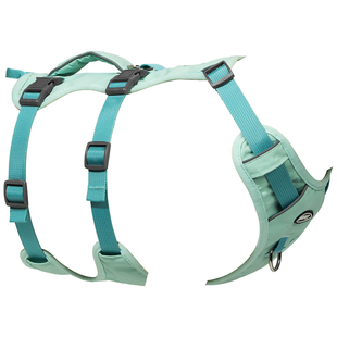 可手提拉狗狗胸背遛狗中小型犬专用牵引绳带背带心式防挣脱宠物拎