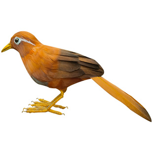 仿真鸟类模型长脚鹬凤头麦鸡八哥秋沙鸭斑鸠湿地展馆学校教具定制