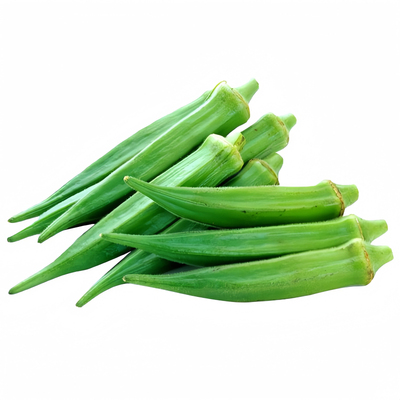 秋葵苗高产易种阳台农田绿秋葵秧